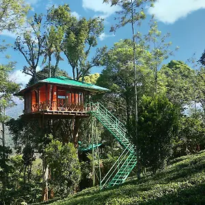 Resort Dream Catcher Plantation, Munnar